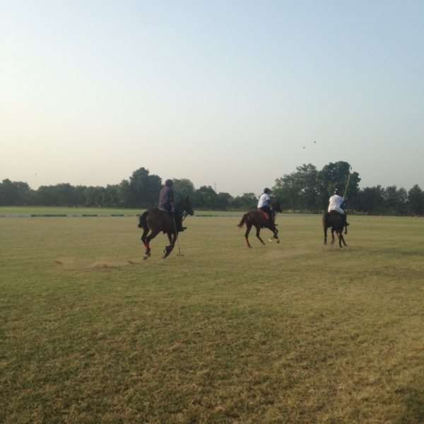 Противоречивая Индия, конец августа - начало сентября 2015 года