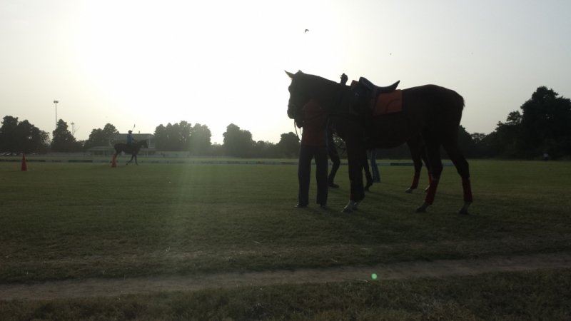 Противоречивая Индия, конец августа - начало сентября 2015 года