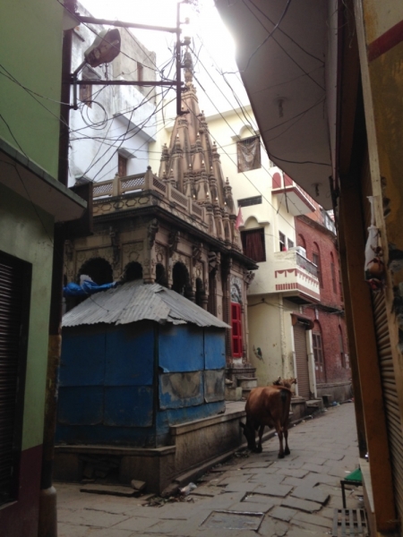 Противоречивая Индия, конец августа - начало сентября 2015 года