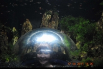 Протоптанными тропами Бангкок-Пхукет-ПиПи-Краби