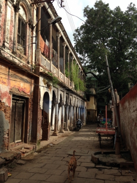 Противоречивая Индия, конец августа - начало сентября 2015 года