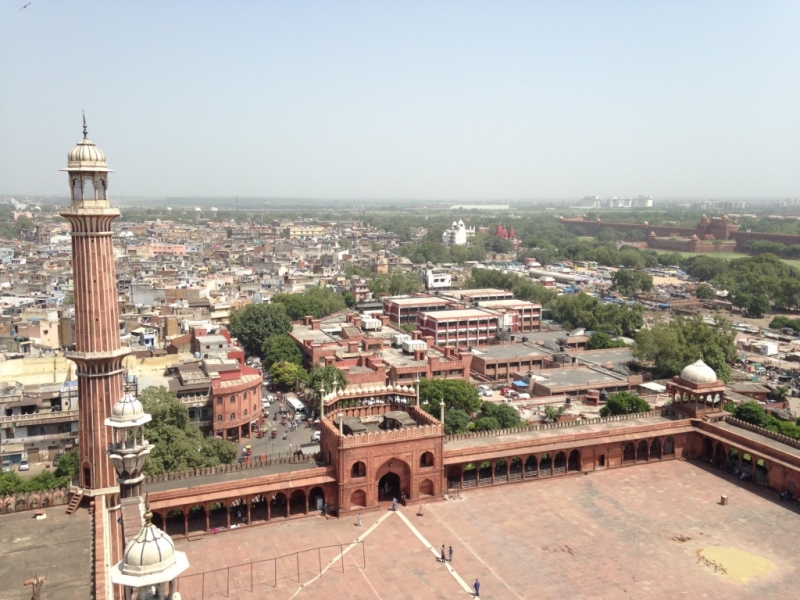 Противоречивая Индия, конец августа - начало сентября 2015 года