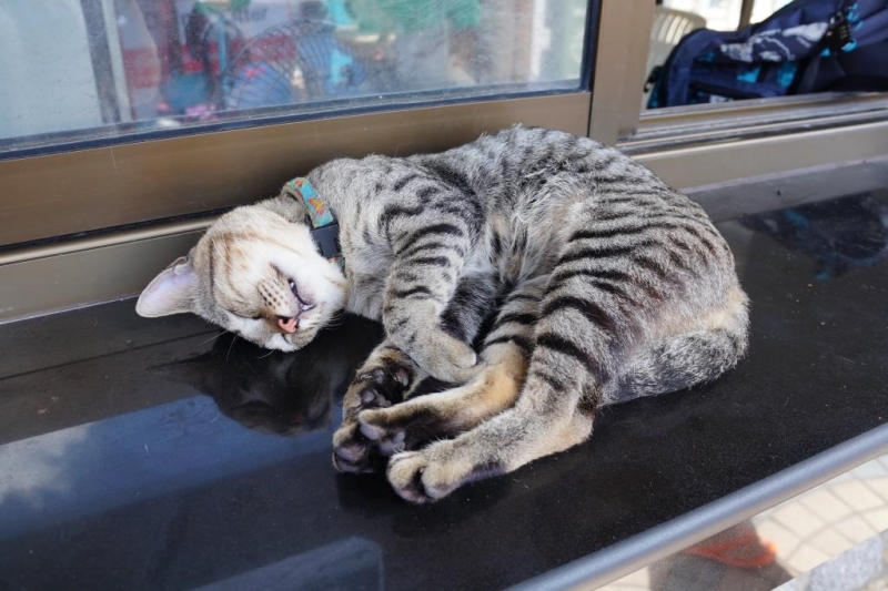 Пхукет-Пхи-Пхи-Краби октябрь 2015г.