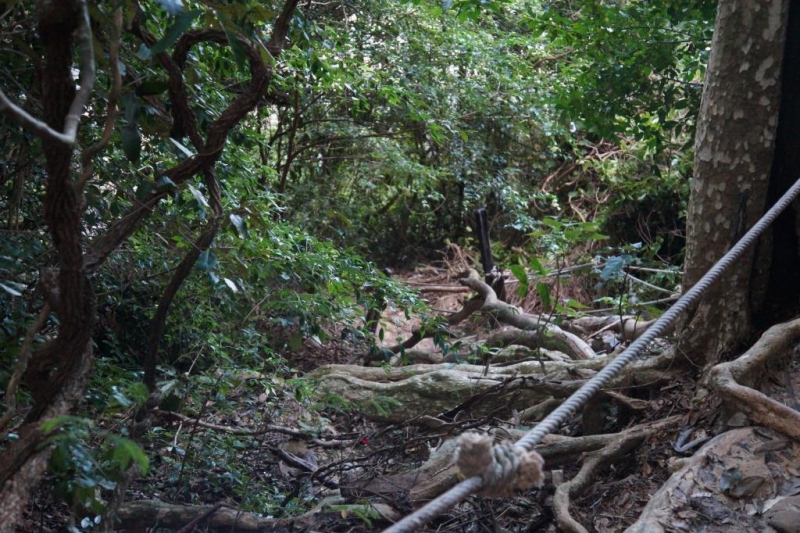 Пхукет-Пхи-Пхи-Краби октябрь 2015г.