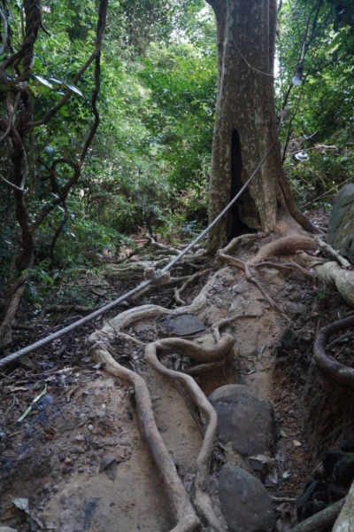Пхукет-Пхи-Пхи-Краби октябрь 2015г.