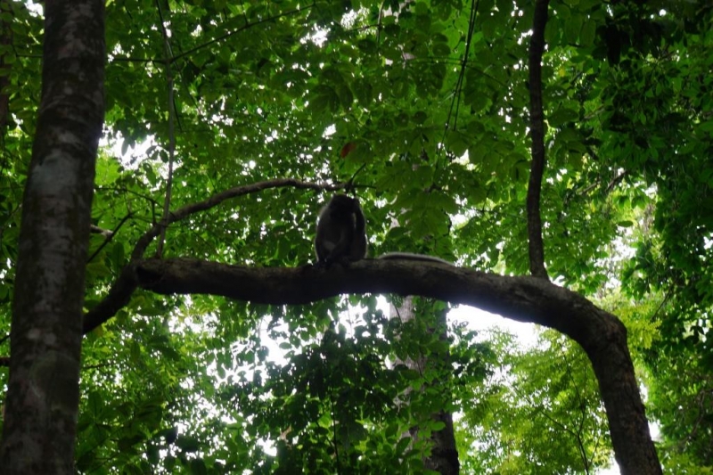 Пхукет-Пхи-Пхи-Краби октябрь 2015г.