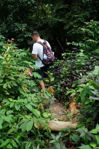 Пхукет-Пхи-Пхи-Краби октябрь 2015г.