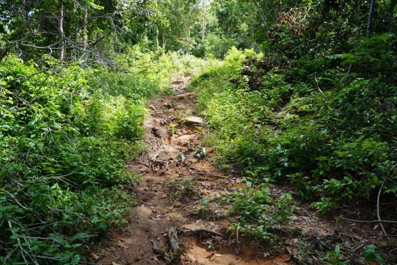 Пхукет-Пхи-Пхи-Краби октябрь 2015г.