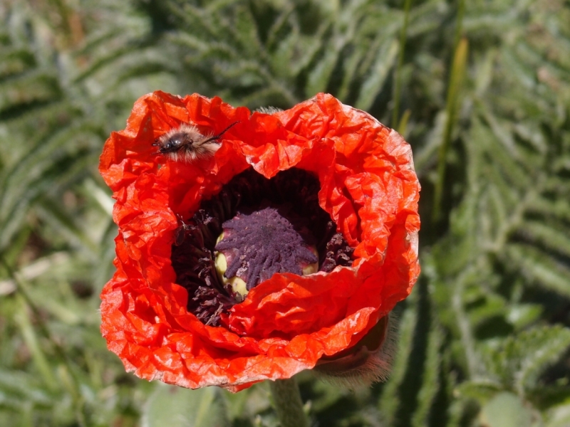 Армения. 20 лет спустя.