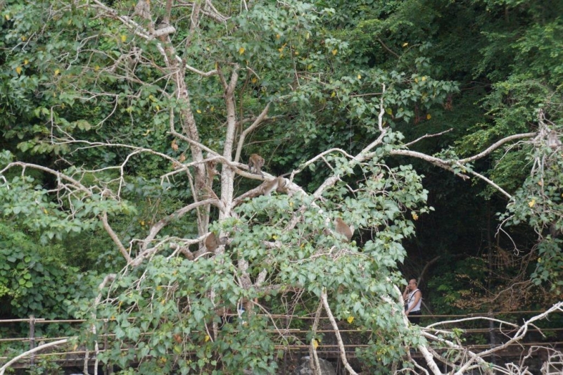 Пхукет-Пхи-Пхи-Краби октябрь 2015г.