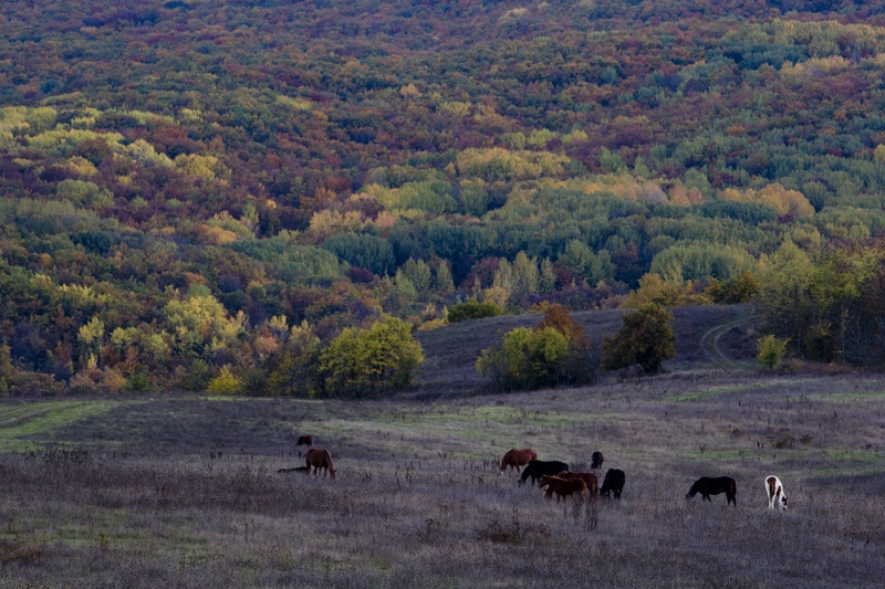 Осенний экспромт