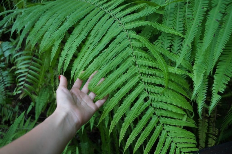 Пхукет-Пхи-Пхи-Краби октябрь 2015г.