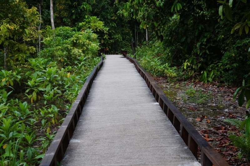 Пхукет-Пхи-Пхи-Краби октябрь 2015г.