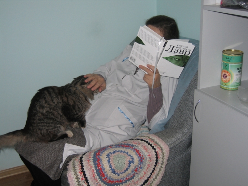 Поговорим о кошках36