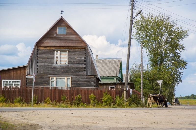 Неделя тишины. Карелия.