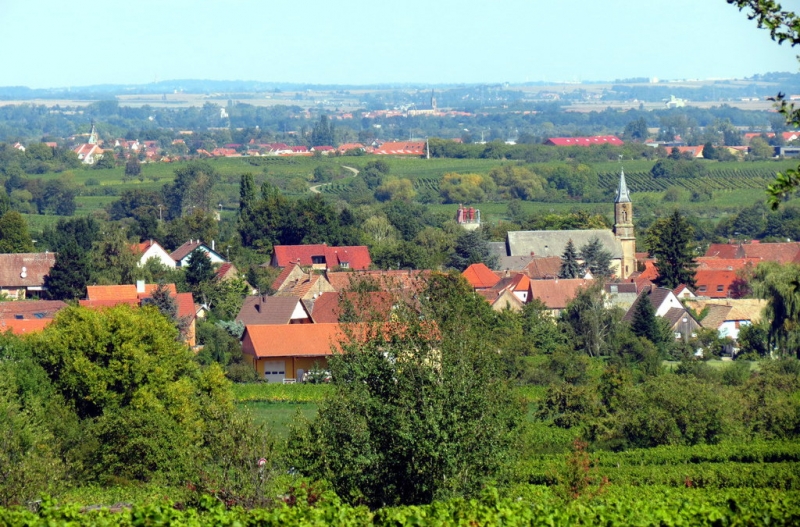 Винная дорога Эльзаса. Пикник на обочине 2015.