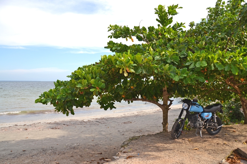 Где-то на Кубе. 1.09.2015-25.09.2015