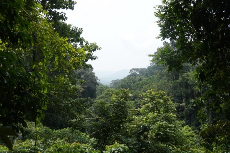 Пхукет-Пхи-Пхи-Краби октябрь 2015г.