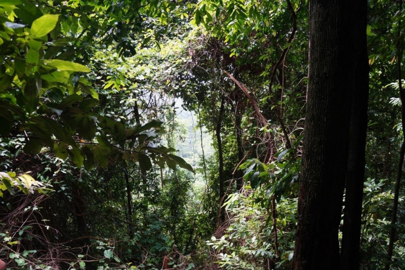Пхукет-Пхи-Пхи-Краби октябрь 2015г.
