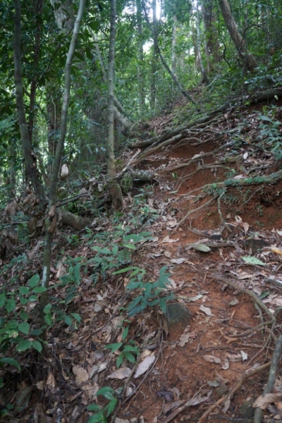 Пхукет-Пхи-Пхи-Краби октябрь 2015г.