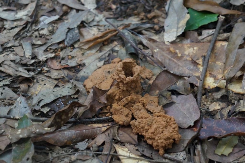 Пхукет-Пхи-Пхи-Краби октябрь 2015г.