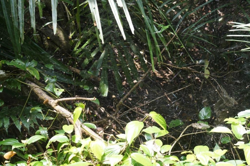 Пхукет-Пхи-Пхи-Краби октябрь 2015г.