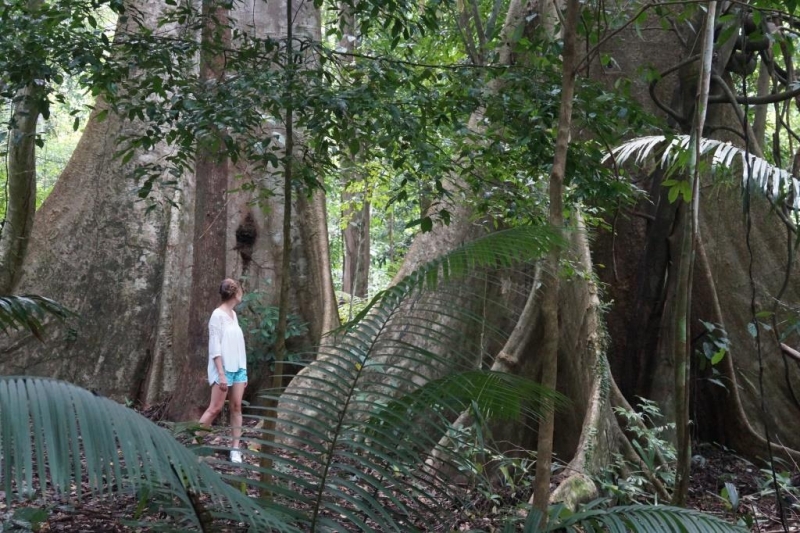 Пхукет-Пхи-Пхи-Краби октябрь 2015г.