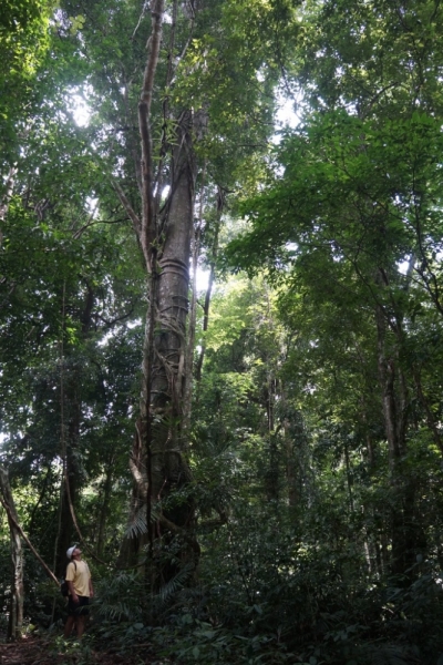 Пхукет-Пхи-Пхи-Краби октябрь 2015г.