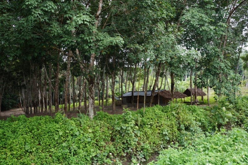 Пхукет-Пхи-Пхи-Краби октябрь 2015г.