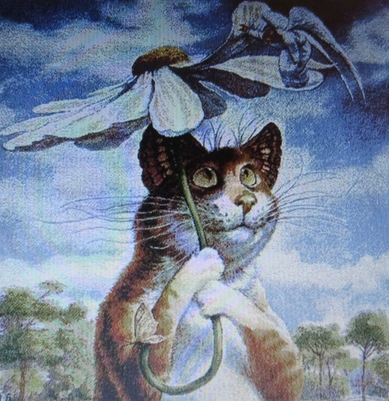 Поговорим о кошках36