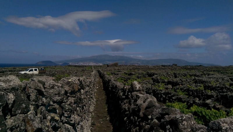 Азоры: 5 островов, одна, весь багаж 4 кг, 16 дней, полная импровизация