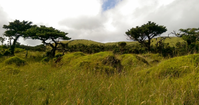 Азоры: 5 островов, одна, весь багаж 4 кг, 16 дней, полная импровизация