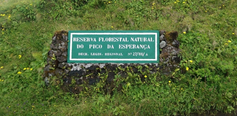 Азоры: 5 островов, одна, весь багаж 4 кг, 16 дней, полная импровизация