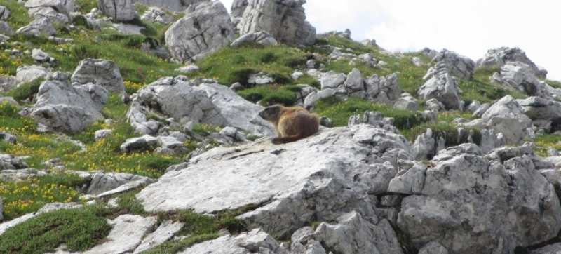 Июль 2015. Польша, Германия, Чехия, Австрия Словения Италия Доломиты