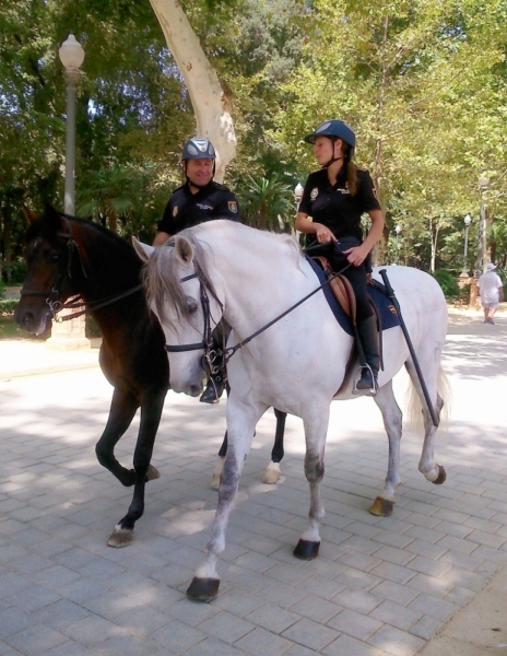 Андалусия июль 2015. Планы и результаты (с фото))