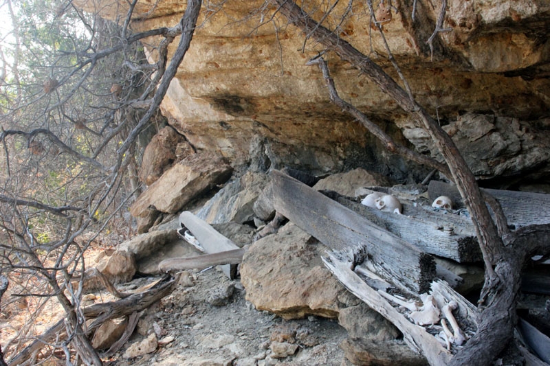 Мадагаскар - там, где нет Макдональдса и не смотрят Игру престолов (сент. 2015)