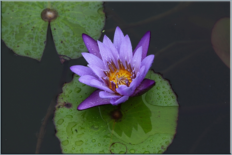 Хуаншань-Санциншань-Уишань