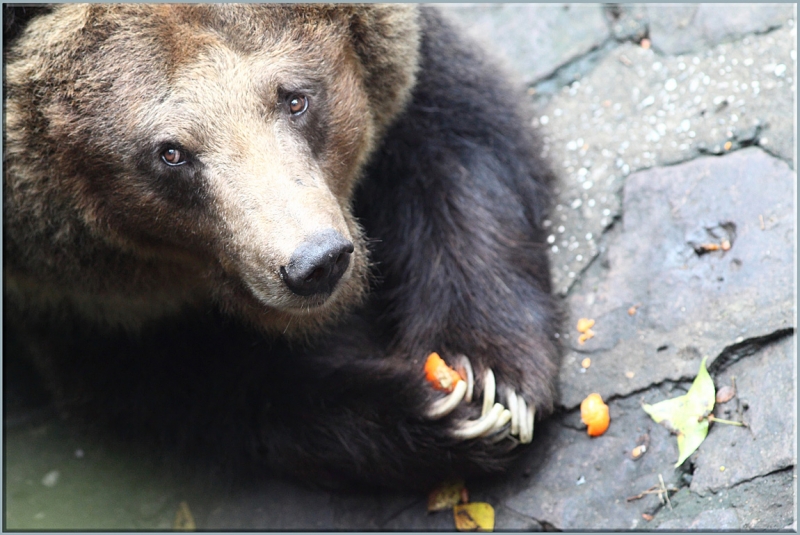 Хуаншань-Санциншань-Уишань
