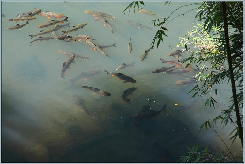 Хуаншань-Санциншань-Уишань