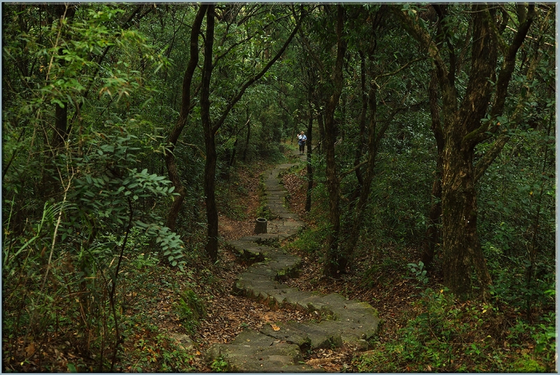 Хуаншань-Санциншань-Уишань