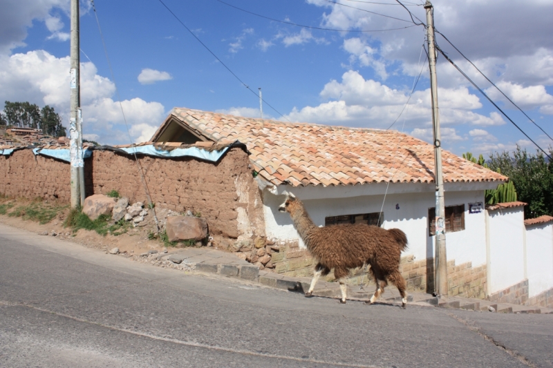Перу. Сентябрь 2015