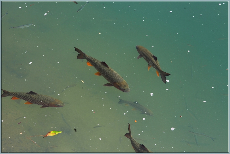 Хуаншань-Санциншань-Уишань