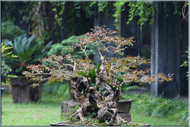 Хуаншань-Санциншань-Уишань