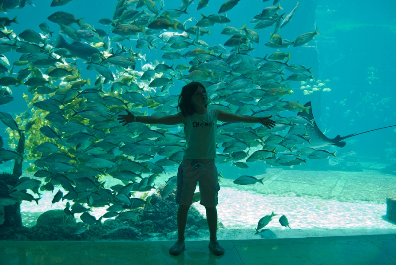 bahamas08