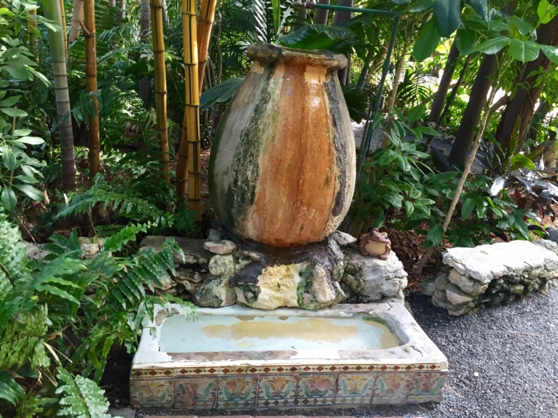 Поговорим о кошках36