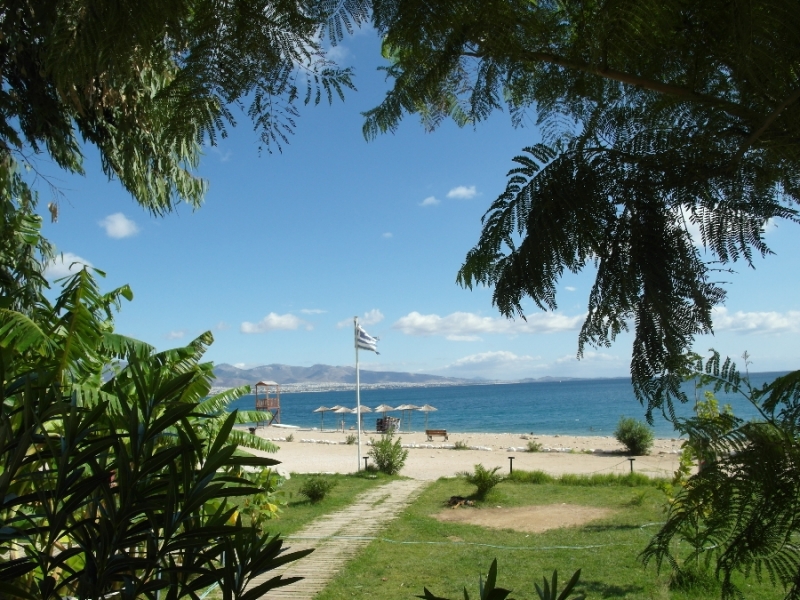 За зайцами по греческим островам: общефорумный круиз Rhapsody of the Seas, осень 2015