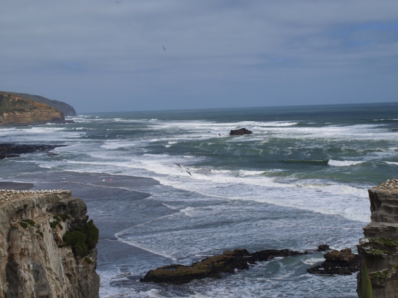 Новая Зеландия