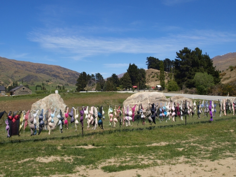 Новая Зеландия