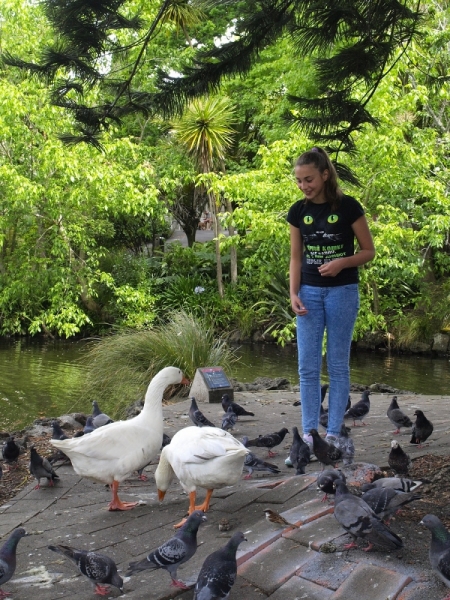 Новая Зеландия