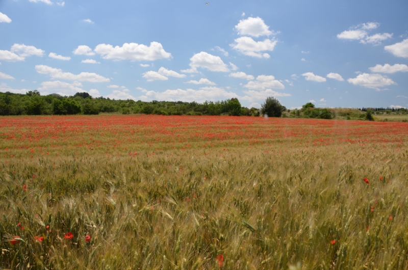 Маршрут в начале мая: побережье Амальфи +(?) Апулия за неделю